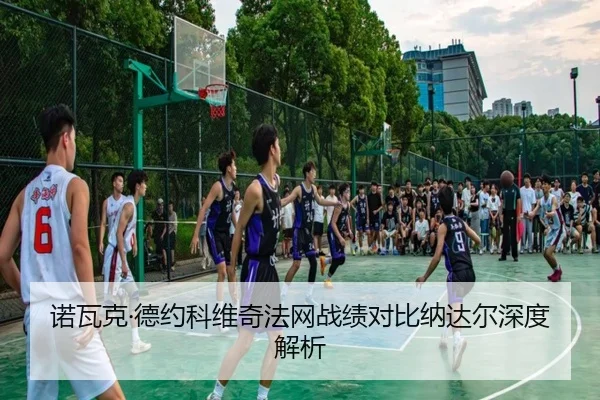 诺瓦克·德约科维奇法网战绩对比纳达尔深度解析